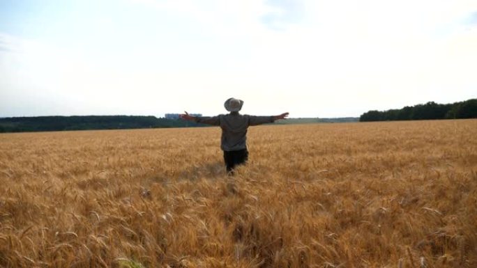 快乐的年轻农民在麦田里奔跑时举手。晴天在大麦草地上慢跑时，无法辨认的农艺师玩得开心。农业商业概念。后