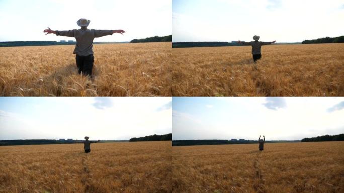 快乐的年轻农民在麦田里奔跑时举手。晴天在大麦草地上慢跑时，无法辨认的农艺师玩得开心。农业商业概念。后