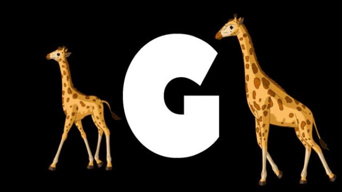 字母G和长颈鹿在前景