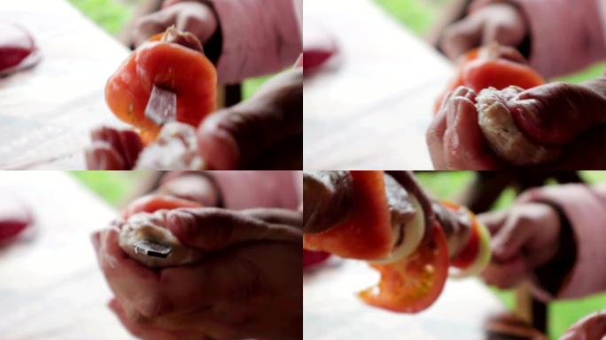 肉，番茄和洋葱串上的什锦烤肉串