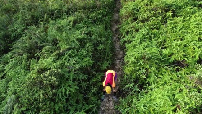 女子超级马拉松运动员的鸟瞰图疲倦并在热带雨林的山坡上休息，4k