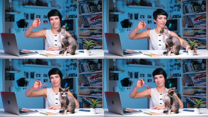 这个女孩在办公室的桌子上用铅笔和猫玩耍
