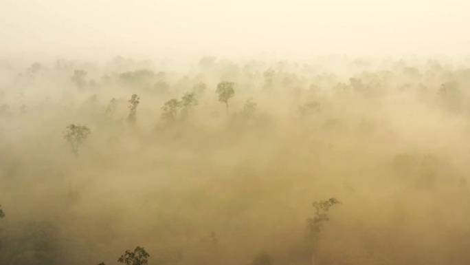 婆罗洲加里曼丹的日出，浓烟笼罩着雨林