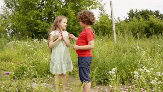 暑假时，卷曲的男孩和女孩在绿色的田野上散步时看花。哥哥在夏天的草地上给姐姐田花。孩子们在开花的草坪上
