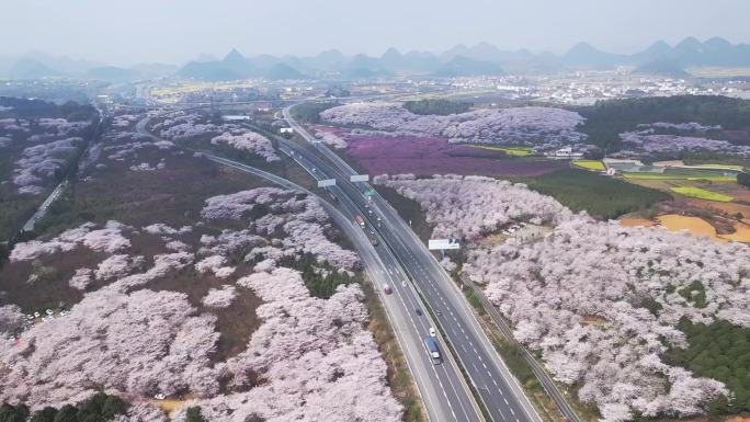 春天贵州最美高速