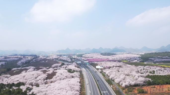 贵州最美高速春天高速