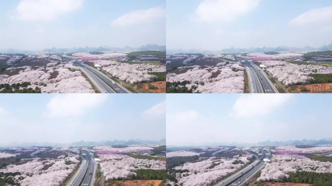 贵州最美高速春天高速