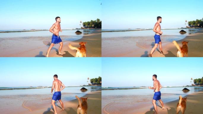 运动型男子与狗一起沿着海岸线慢动作奔跑