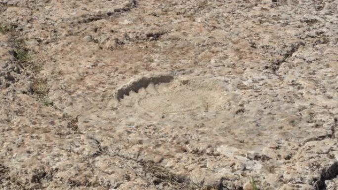 西班牙Torcal de Antequera岩石中化石菊石的足迹