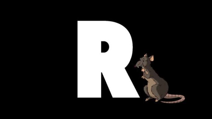 字母R和Rat在前景上