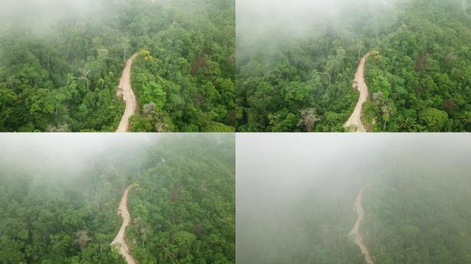 在雨林的土路上飞过薄雾
