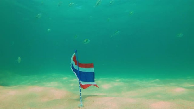 在清澈的蓝色水中拍摄泰国国旗的慢动作。国旗被热带鱼包围。泰国旅游概念。泰国的潜水和浮潜概念