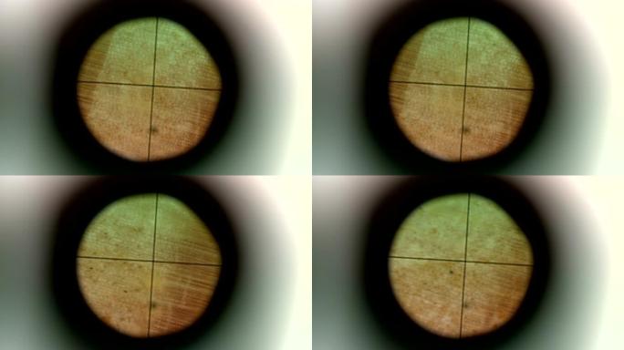 科学家的物理和基因研究科学实验室