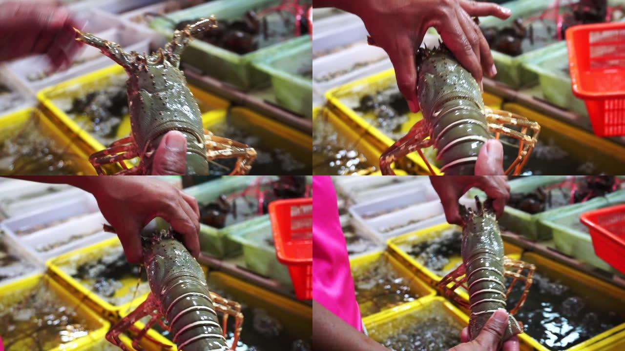 泰国普吉岛出售新鲜海鲜大刺龙虾