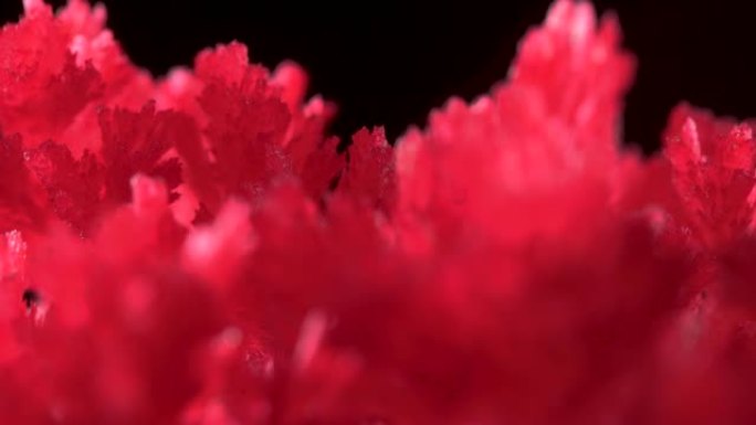 由于使用化学药品的家庭体验，出现了美丽的红色水晶。结晶过程是在正常条件下进行的。简单的化学实验
