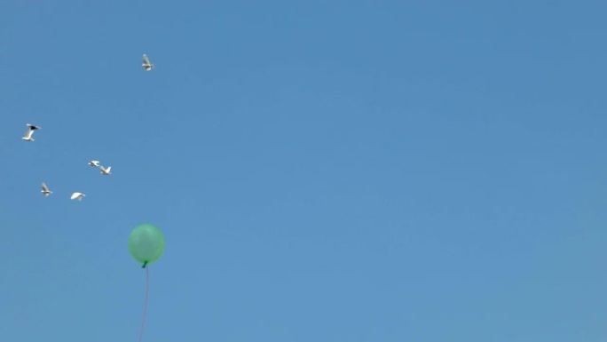 丢失的绿色气球飞上天空。