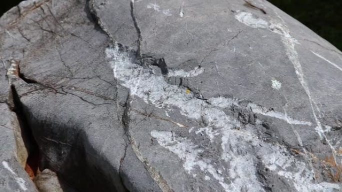 石灰岩: 是地面上的碳酸盐岩沉积岩。