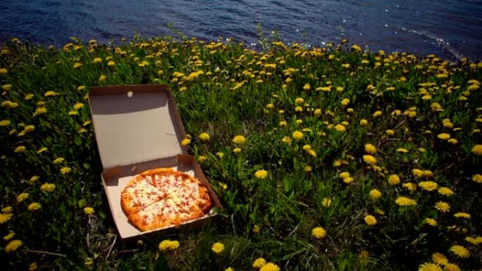 蒲公英海岸上的带披萨的纸板箱。