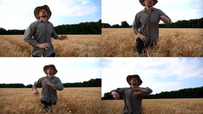 恼怒的农民在麦田里跑来对着镜头，试图抓住某人。愤怒的农艺师在谷物草地上慢跑，并在试图将某人从种植园中