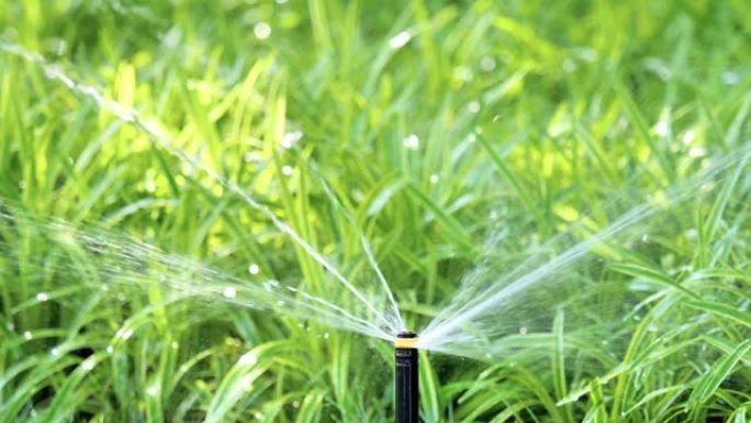 花园、草地浇水系统。智能花园通过在绿色公园工作的全自动喷灌系统启动，浇灌草坪、花木喷头旋转。4k慢动