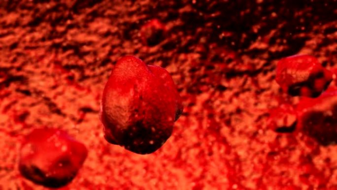 静脉视频动画中的红细胞