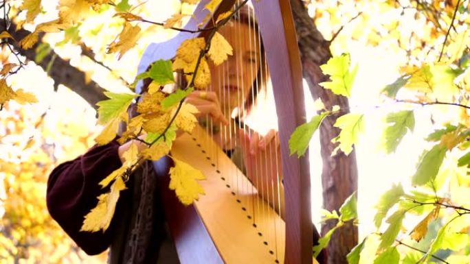 一个年轻女孩弹竖琴。她坐在秋天公园的树下。