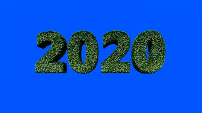 2020新年文本由绿叶吹风，对着蓝屏