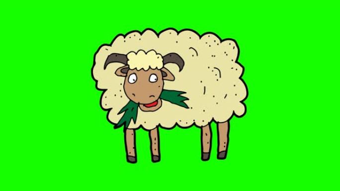 羊的手绘绿色背景动画