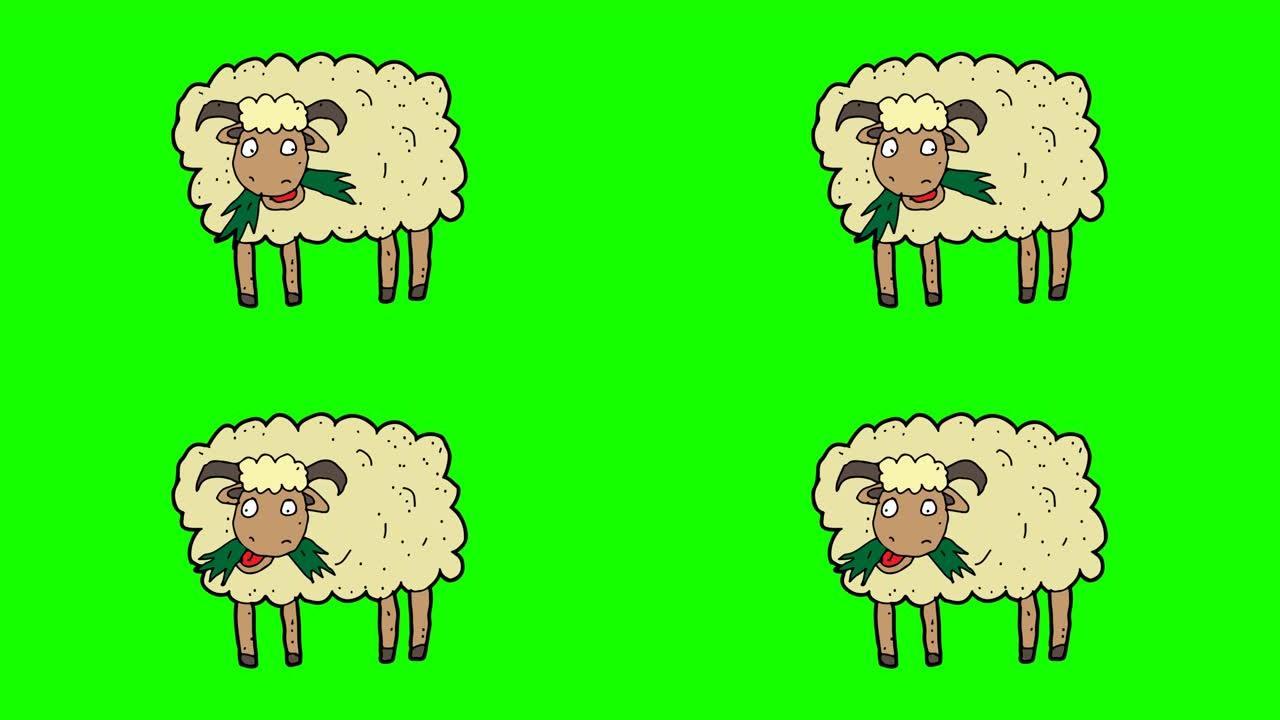 羊的手绘绿色背景动画