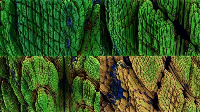 抽象虹彩微生物放大3d镜头。细菌，绿色霉菌特写。真菌、微观微生物和分子结构宏观运动效应动画。详细的孢