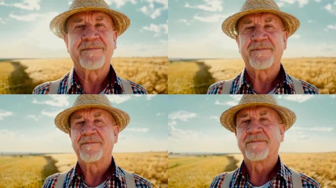 在一个阳光明媚的夏日，麦田里，一位白人老人对着镜头微笑。戴着帽子的老人。关闭了。
