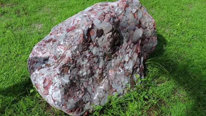 砾岩-沉积岩的自然标本，由地面上的圆形或亚圆形砾石和碳酸钙胶结的卵石组成。