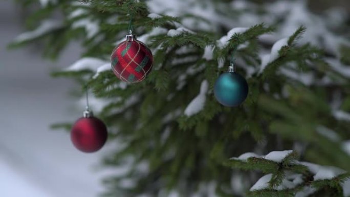 在森林里打扮圣诞树。圣诞玩具挂在圣诞树的树枝上
