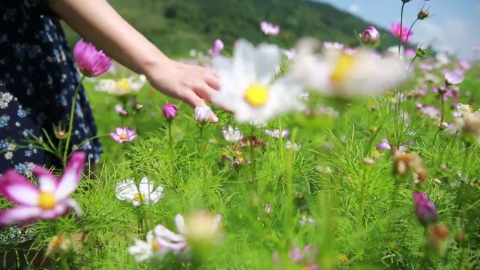 花海美女走在花丛中