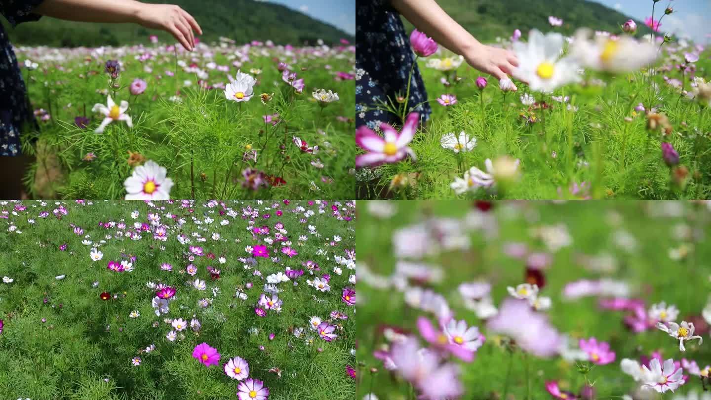 花海美女走在花丛中