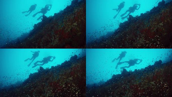 用坚硬的珊瑚，柔软的珊瑚和许多热带鱼在完整的珊瑚礁上射击。潜水员观看现场，马尔代夫，印度洋