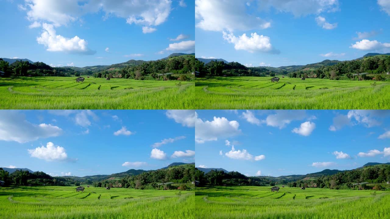 泰国炎热的夏日，4k延时拍摄在晴朗的蓝天中移动的白云，阳光穿过山脉，稻田和小小屋