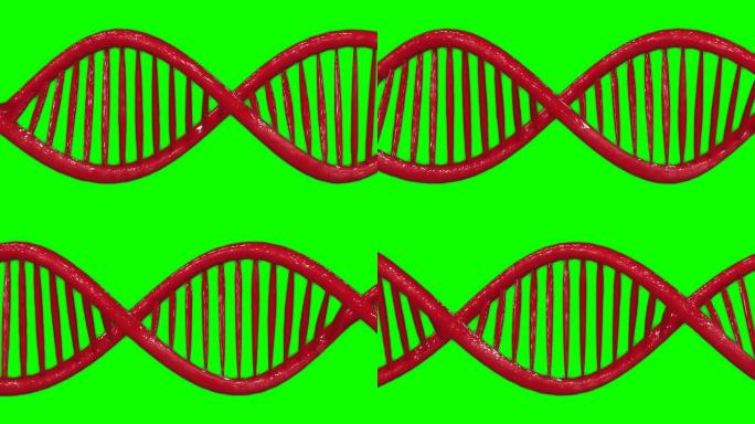 红色设计dna双螺旋遗传模型动画
