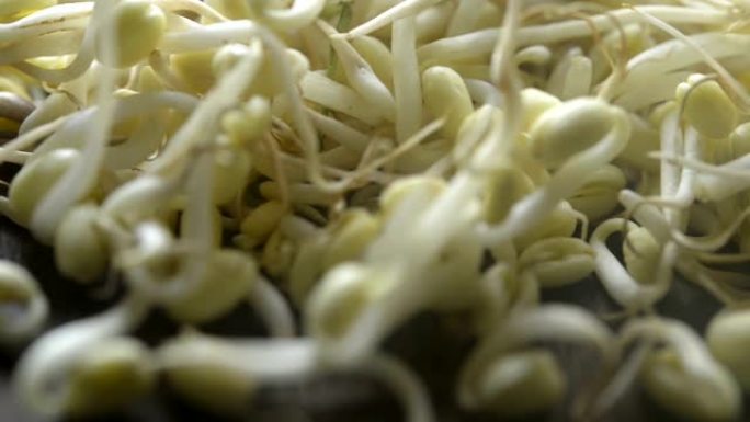 关闭有机绿豆芽食品/豆芽杯在木制背景