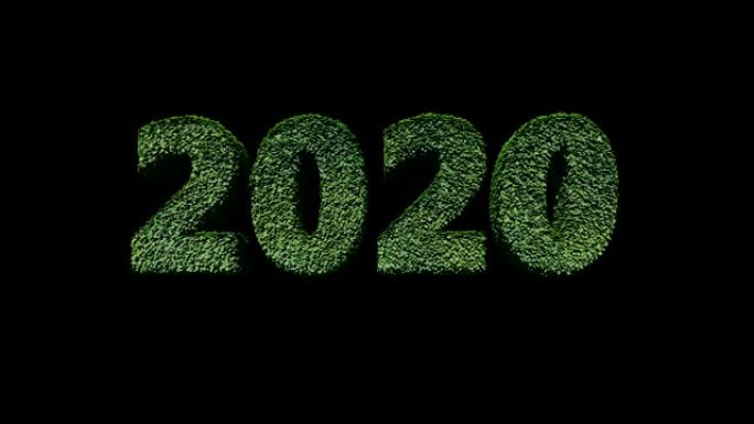 2020新年文字由绿叶吹来，反对黑色