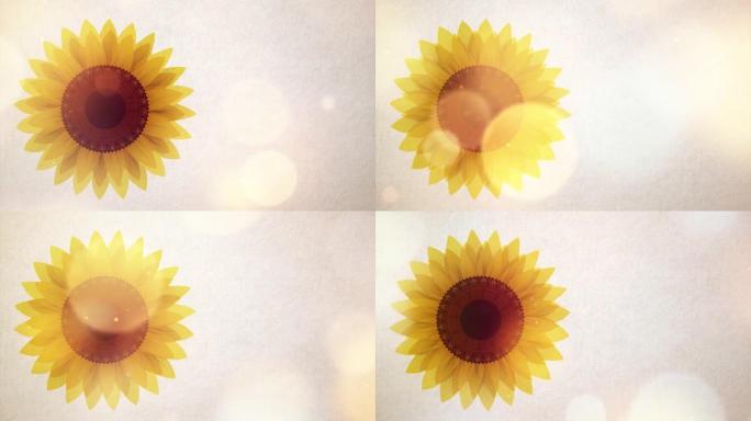 附庸风雅的太阳花是花在不同视觉表现中的美丽想象图像。以彩色和黑白方式描绘得很漂亮。