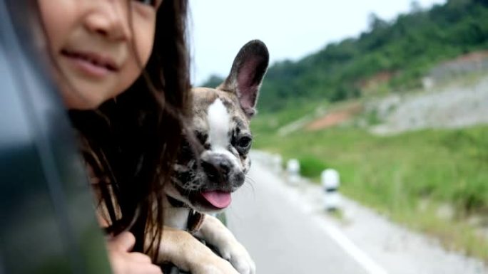 女孩和小狗开车环游乡村，兴奋地打开窗户。