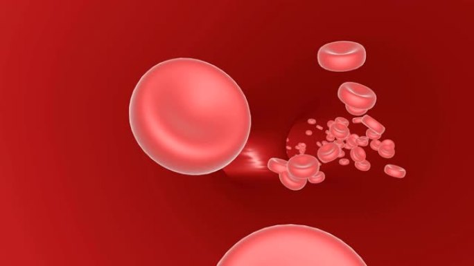红细胞抗体漂浮通过静脉无缝动画。椭圆形物体沿着红色隧道循环镜头移动。血液循环3d视频。动脉中的血红蛋