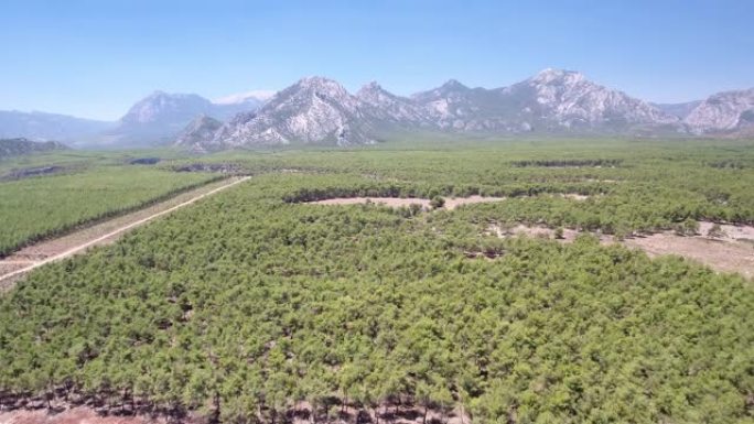 森林和山脉的鸟瞰图。