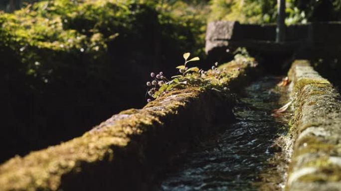 加利西亚水道