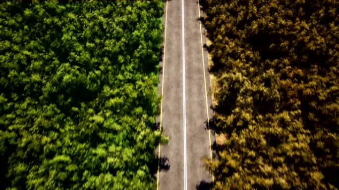 森林空路鸟瞰图3d逼真镜头。从上方运动到狭窄的乡村路径。公路和自然景观俯视图风景。飞越绿树效果动画