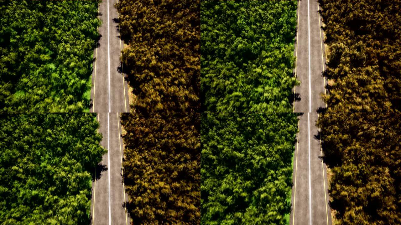 森林空路鸟瞰图3d逼真镜头。从上方运动到狭窄的乡村路径。公路和自然景观俯视图风景。飞越绿树效果动画