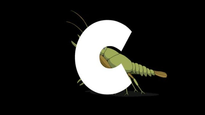 字母C和背景小龙虾