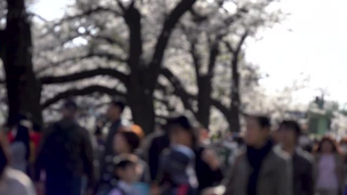 4k视频: 日本拥挤的游客行人的模糊运动。