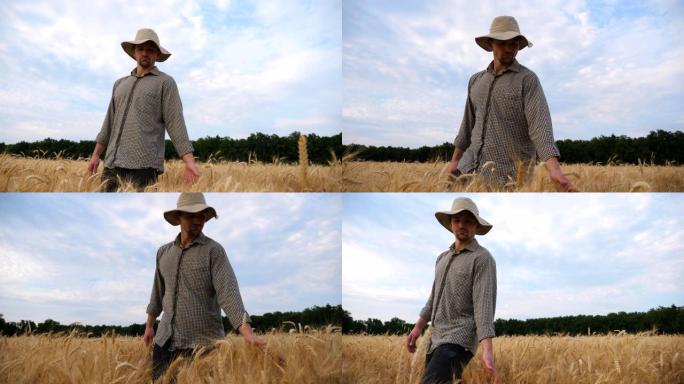 年轻的农艺师在大麦草甸中行走，抚摸着成熟的小穗。男农民穿过麦田，用手触摸庄稼的金色耳朵。农业概念。多